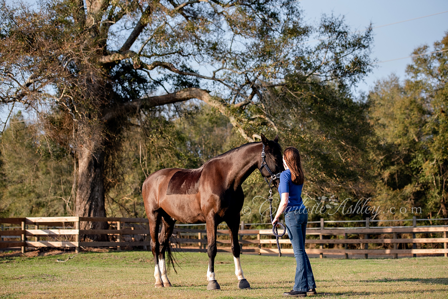 Faith with horse Argon