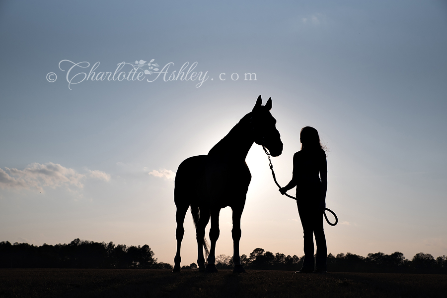 Faith with horse Argon