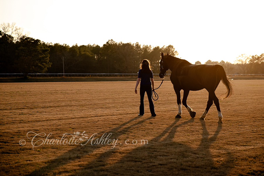 Faith with horse Argon