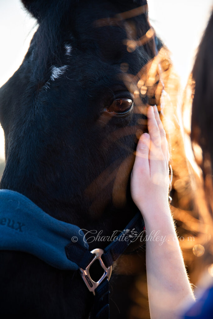 Faith sweet 16 portrait